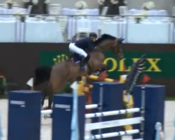 Springpferd Lektor 35 (Westfale, 2001, von Lancer III)