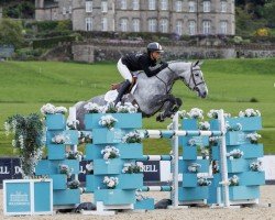 jumper One Ruby (anglo european sporthorse, 2016, from Cicero)
