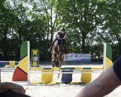 dressage horse Lena 591 (Rhinelander, 2015, from Lugato)
