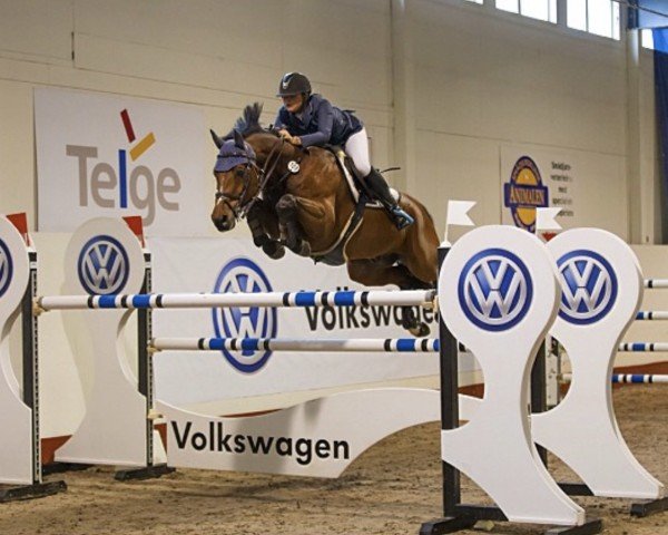jumper Titanic VDL (KWPN (Royal Dutch Sporthorse), 2000, from Neckar)