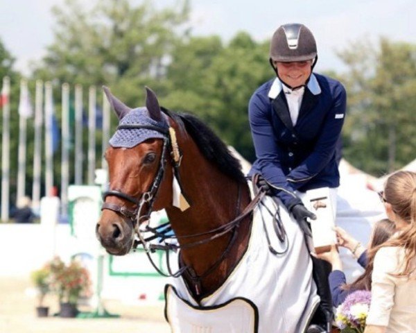 jumper Himer's Iceface (KWPN (Royal Dutch Sporthorse), 2001, from Ircolando)