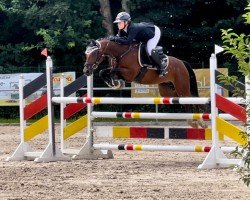 Zuchtstute SM Little Diva (Deutsches Reitpony, 2018, von Chattanooga)