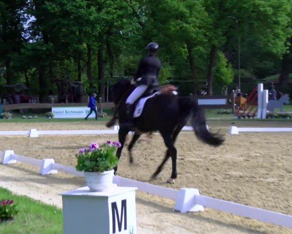 Reitturnier Wesel-Obrighoven 2025
