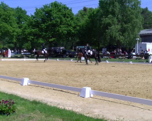 Reitturnier Wesel-Obrighoven 2025