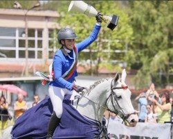 Springpferd Apollo D (KWPN (Niederländisches Warmblut), 2017, von Asca Z)