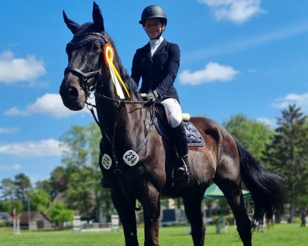 jumper Le Liban 2 (Hanoverian, 2009, from Landor S)