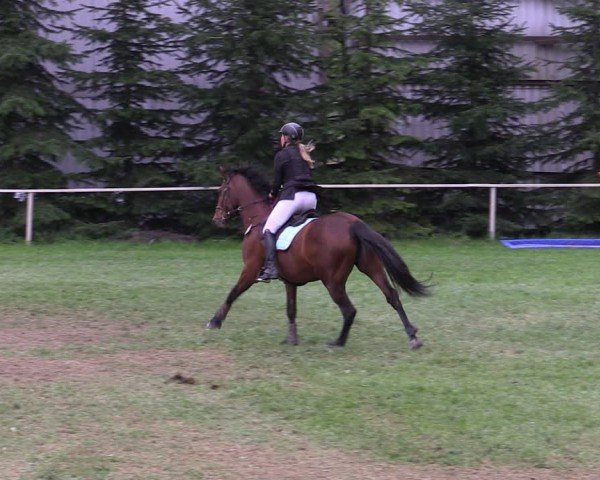 Reitturnier Derenburg 2025