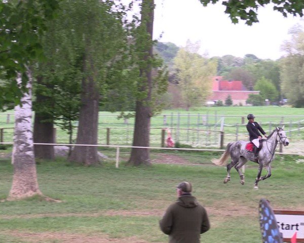 Reitturnier Derenburg 2025