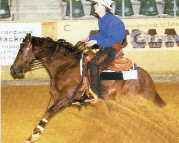 horse LQ Here I Am (Quarter Horse, 1998, from Olena San Badger)