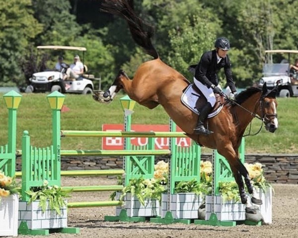 jumper Armik (Oldenburg, 2009, from Armitage)