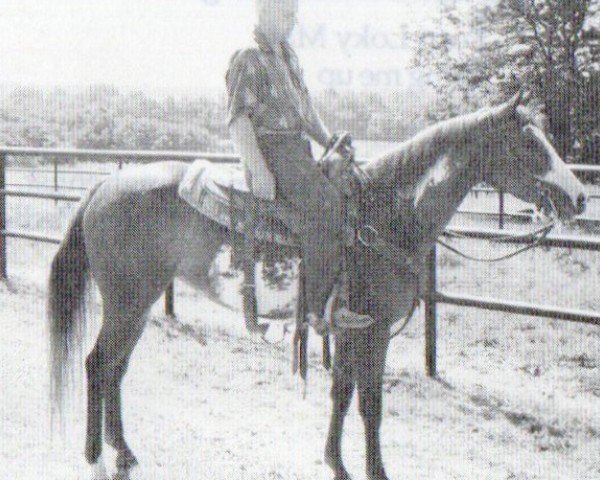 Pferd Three Doc Sue (Paint Horse, 1992, von Doc's Lynx)