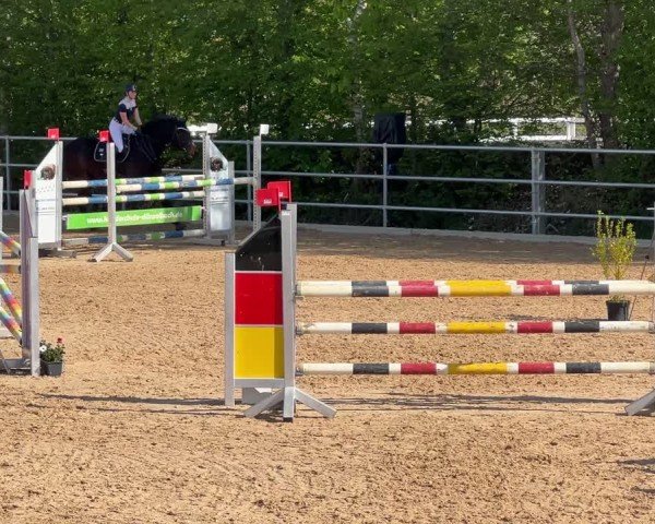 Reitturnier Mammendorf/Obb. 2025