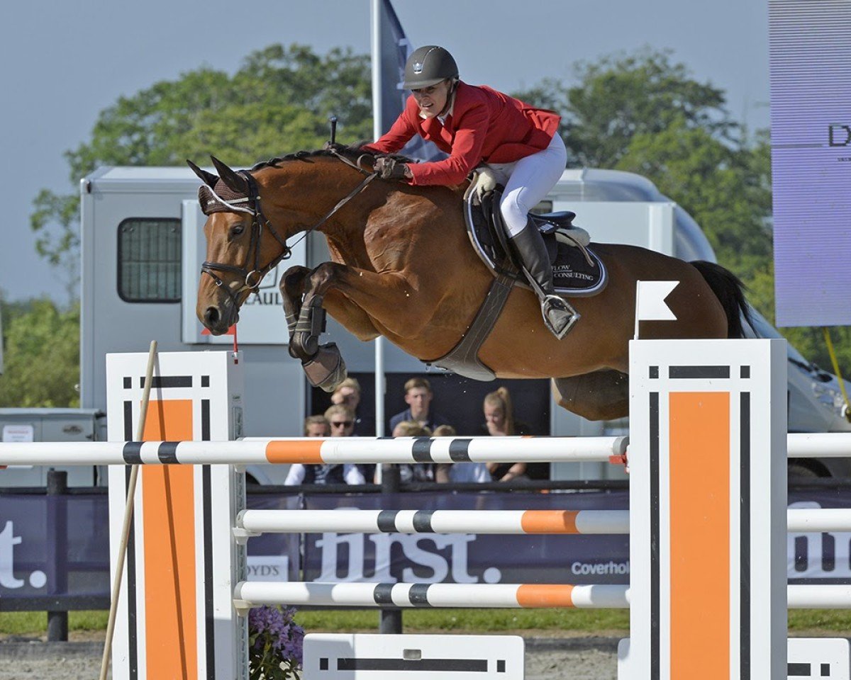 Avlshoppe Lightstar (Dansk Varmblod, 2005, fra Come Back II)