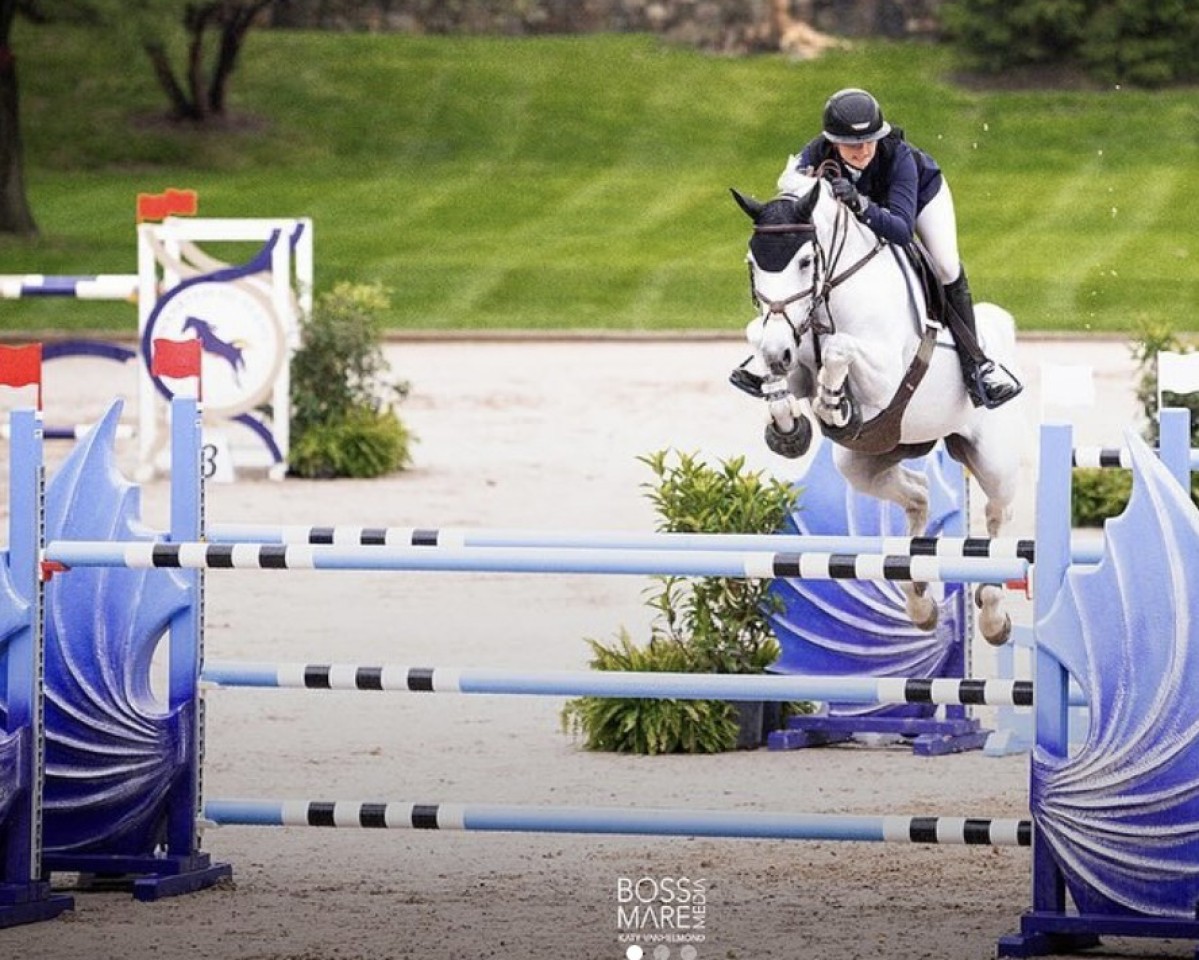 Springpferd Freesby de Vy (R.O.) (Belgium Sporthorse, 2011, von Deister)