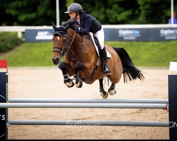Springpferd Joy Nonstop vd Moorkeshoeve (Belgisches Warmblut, 2009, von Nonstop)