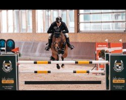 jumper Lord of The Dance 37 (Oldenburg, 2007, from Lord Pezi)