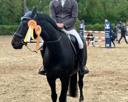 Springpferd Diamond Dust 10 (Westfale, 2016, von Dust Devil 2)