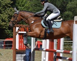 jumper Cavaliers Choice 3 (Irish Sport Horse, 2015, from Corrib Cavalier)