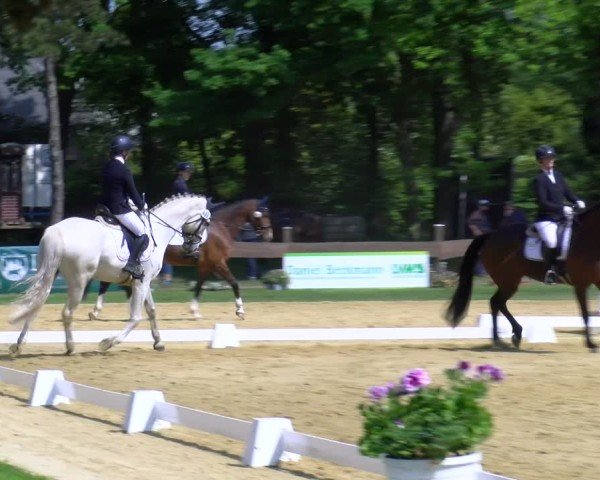 Reitturnier Wesel-Obrighoven 2025