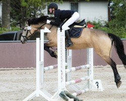 jumper Lakeside 7 (Pony without race description, 2013)