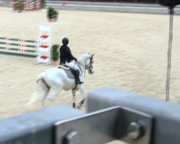 Reitturnier Ingolstadt-Hagau/Obb. 2025