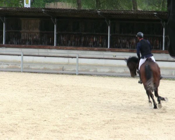 Reitturnier Ingolstadt-Hagau/Obb. 2025