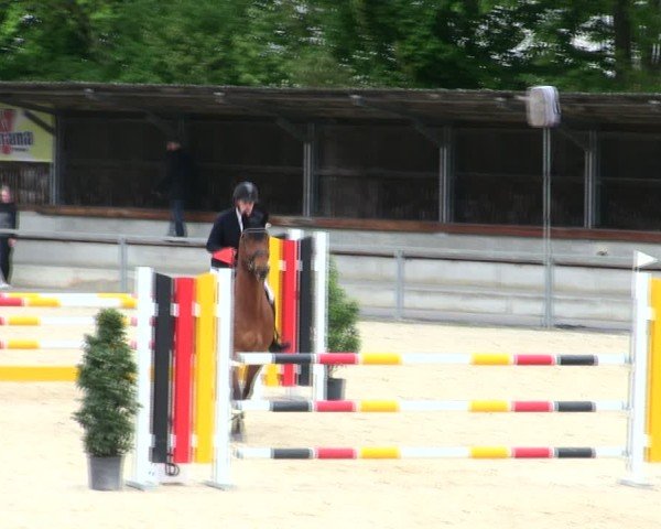 Reitturnier Ingolstadt-Hagau/Obb. 2025