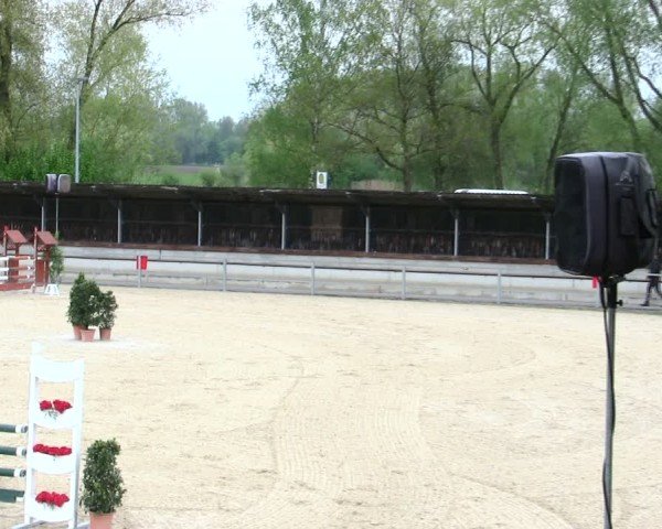 Reitturnier Ingolstadt-Hagau/Obb. 2025