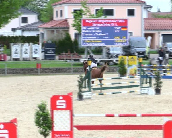 Reitturnier Ingolstadt-Hagau/Obb. 2025