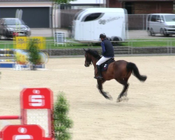 Reitturnier Ingolstadt-Hagau/Obb. 2025