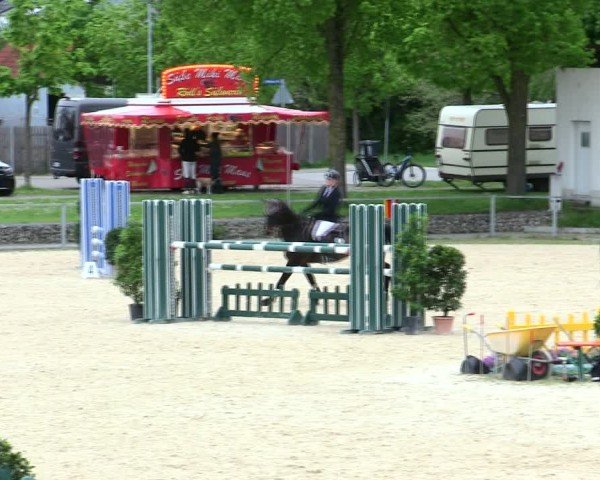 Reitturnier Ingolstadt-Hagau/Obb. 2025