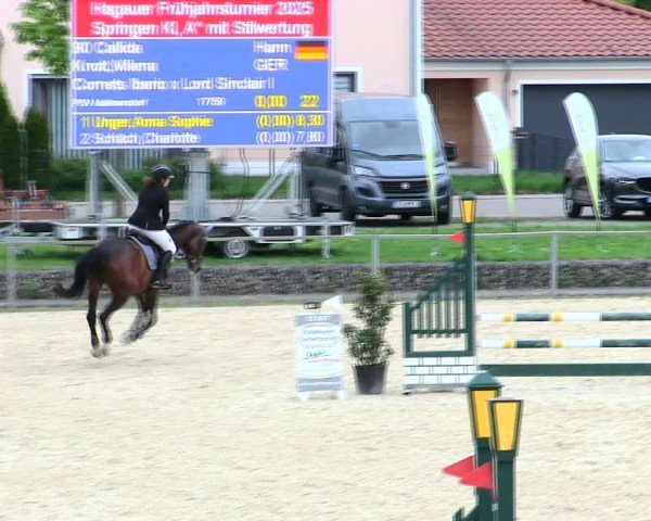 Reitturnier Ingolstadt-Hagau/Obb. 2025