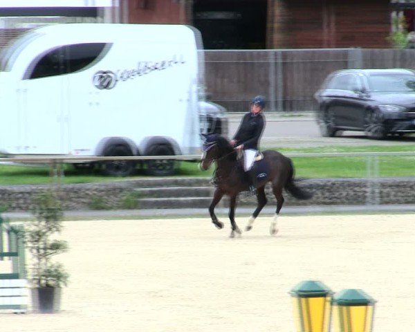 Reitturnier Ingolstadt-Hagau/Obb. 2025