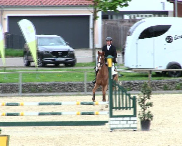 Reitturnier Ingolstadt-Hagau/Obb. 2025