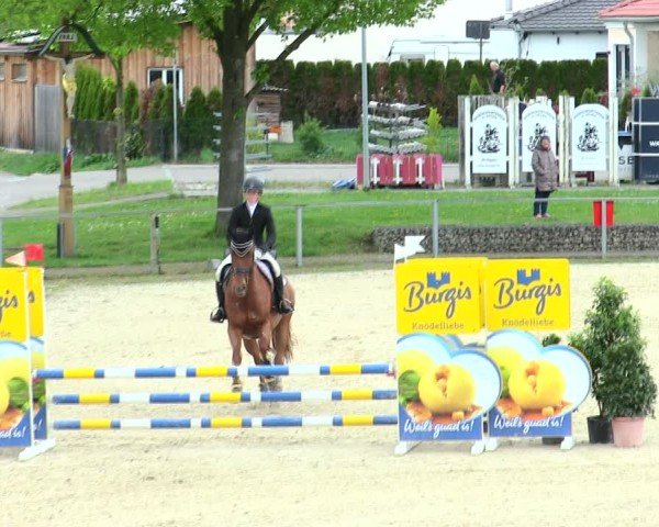 Reitturnier Ingolstadt-Hagau/Obb. 2025