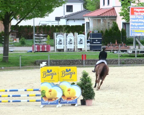 Reitturnier Ingolstadt-Hagau/Obb. 2025