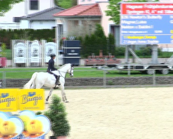 Reitturnier Ingolstadt-Hagau/Obb. 2025
