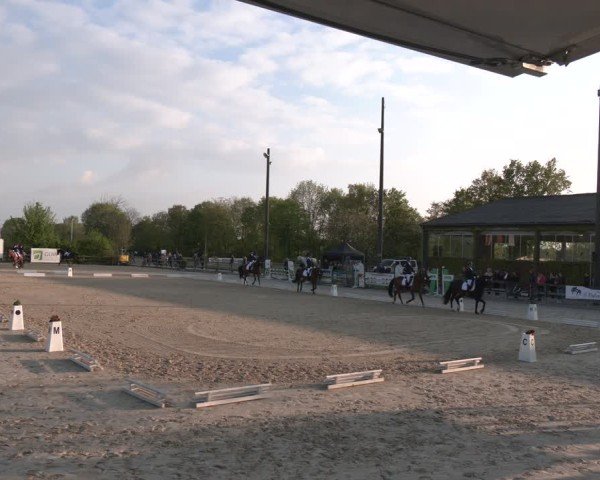 Reitturnier Nienberge 2025