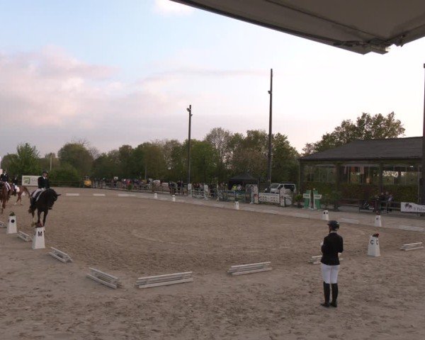 Reitturnier Nienberge 2025