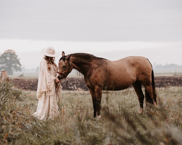 horse Golden Toffifee (German Riding Pony, 2013, from The Braes My Mobility)