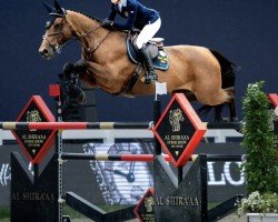 Springpferd Zara de Laubry Z (Zangersheide Reitpferd, 2011, von Zandor Z)