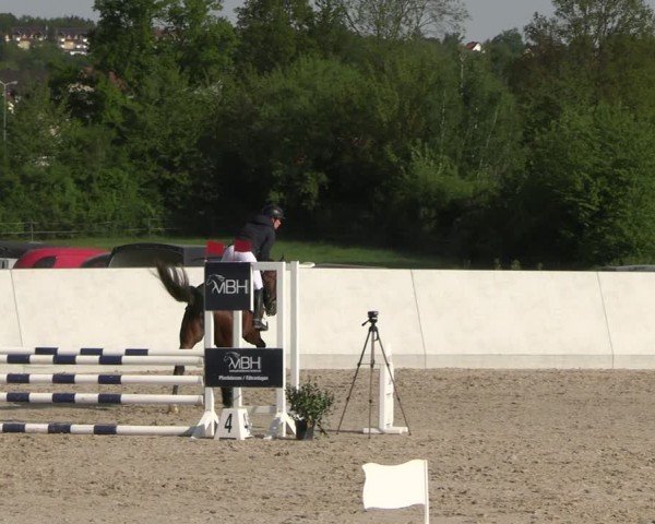 Reitturnier Zwickau 2025