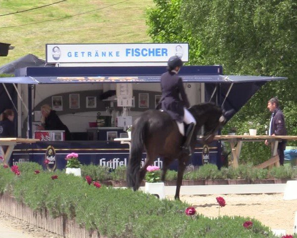 Reitturnier Lindlar - Reitanlage Dückers 2025