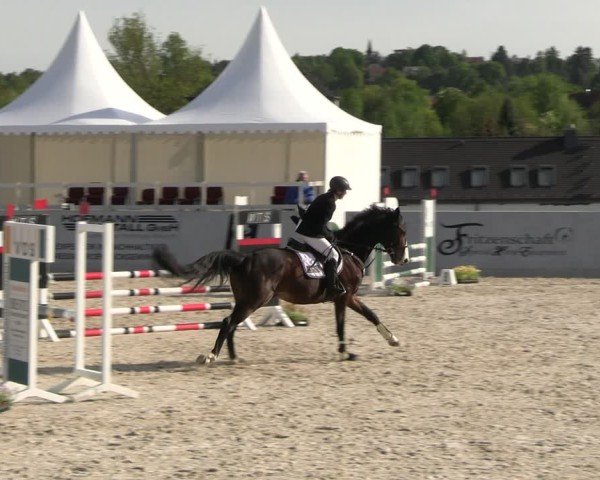 Reitturnier Zwickau 2025
