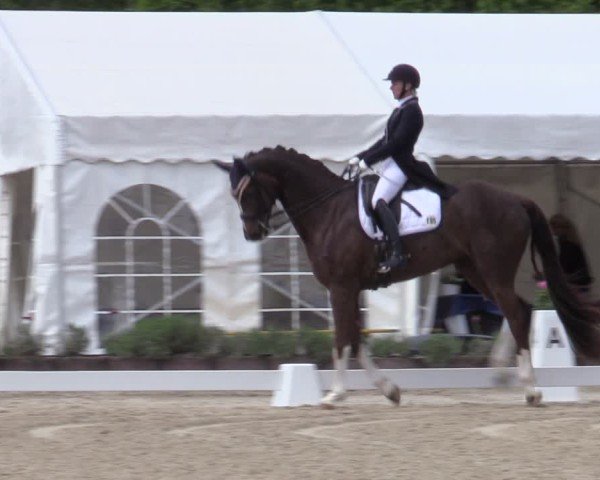 Reitturnier Lindlar - Reitanlage Dückers 2025