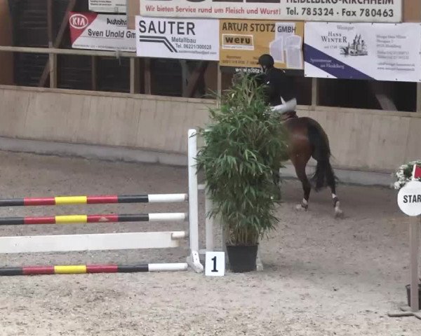 Hallenturnier Heidelberg-Kirchheim 2014