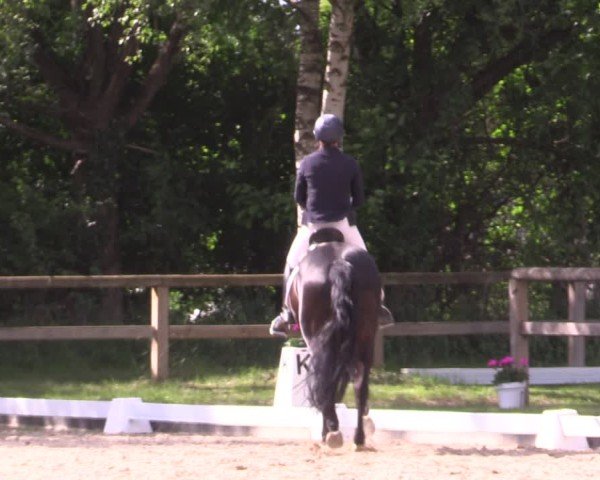 Reitturnier Lienen 2025