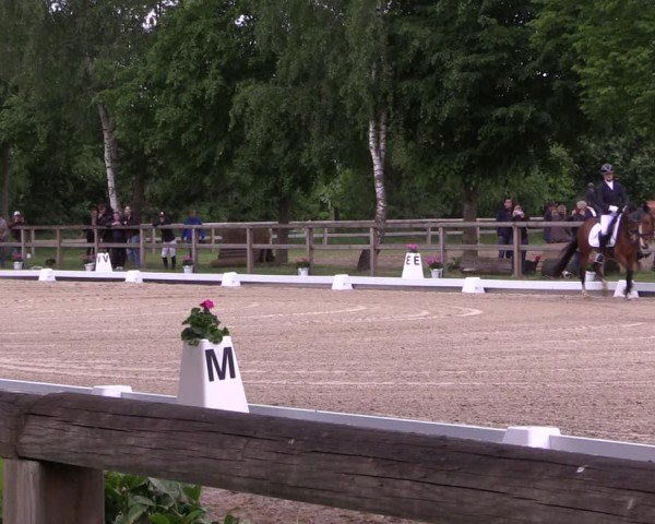 Reitturnier Lienen 2025