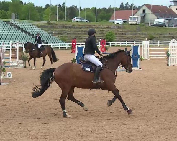 Reitturnier Kreuth/Opf. 2025