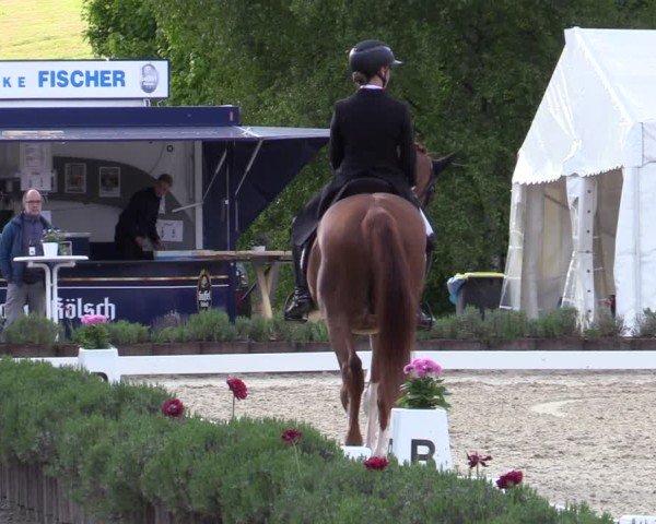 Reitturnier Lindlar - Reitanlage Dückers 2025
